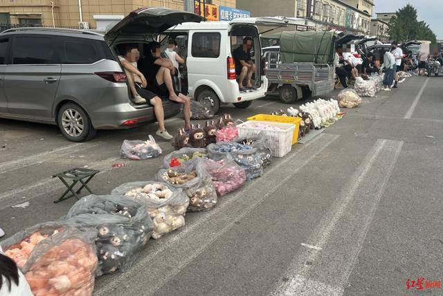 实探衡水盗版LABUBU大集:像卖菜一样摆摊卖,商家称如今订单变少生意难做
