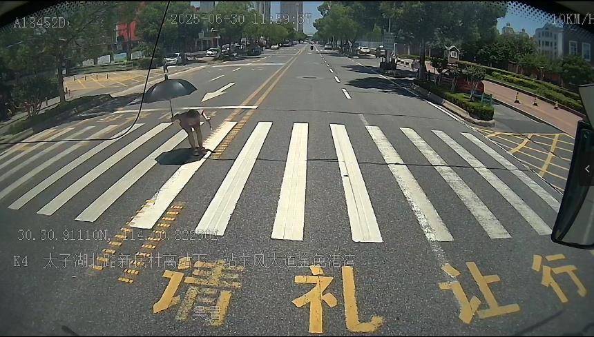 这比空调更降温!武汉公交司机停车礼让,市民90度鞠躬回敬