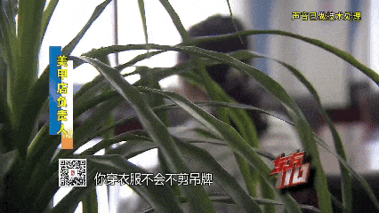 00后女子上海旅游两个月花费0元,衣食住行赖账全靠“薅羊毛”,上海警方:已抓获!