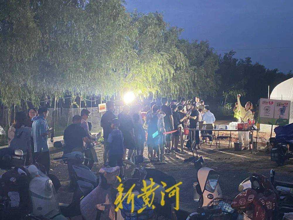 济南这片树林，一晚捉了20000只金蝉