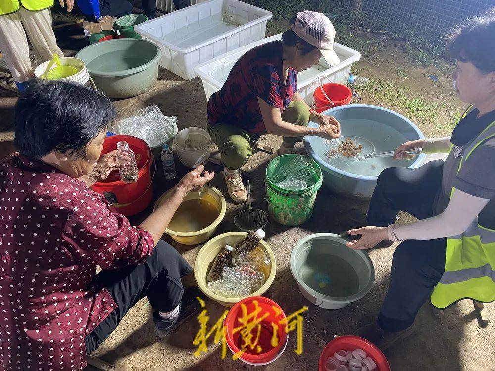 济南这片树林，一晚捉了20000只金蝉