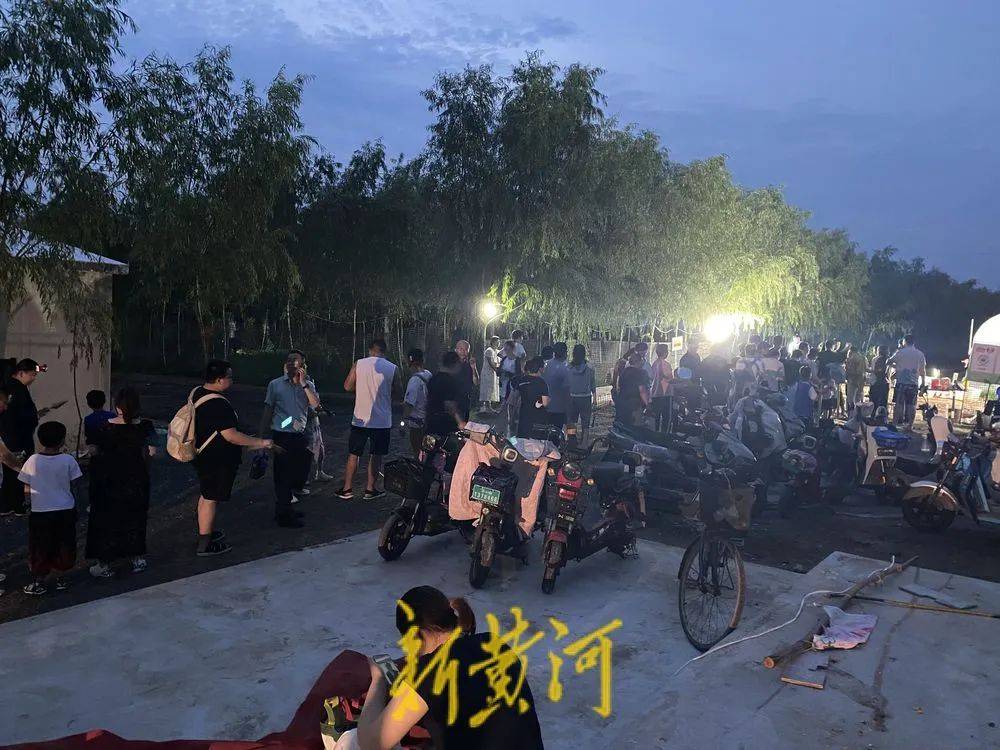 济南这片树林，一晚捉了20000只金蝉