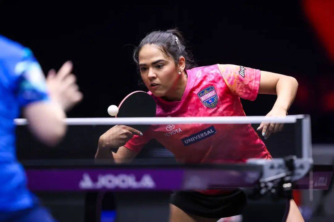 王楚钦胜高承睿，孙颖莎将战陈熠，“栋曼”首战告捷 | WTT美国大满贯赛