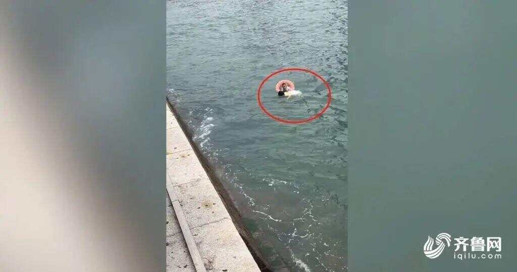 青岛58岁卖玉米大姨回应跳海救人 坦言哪怕以命换命,因为她还年轻!