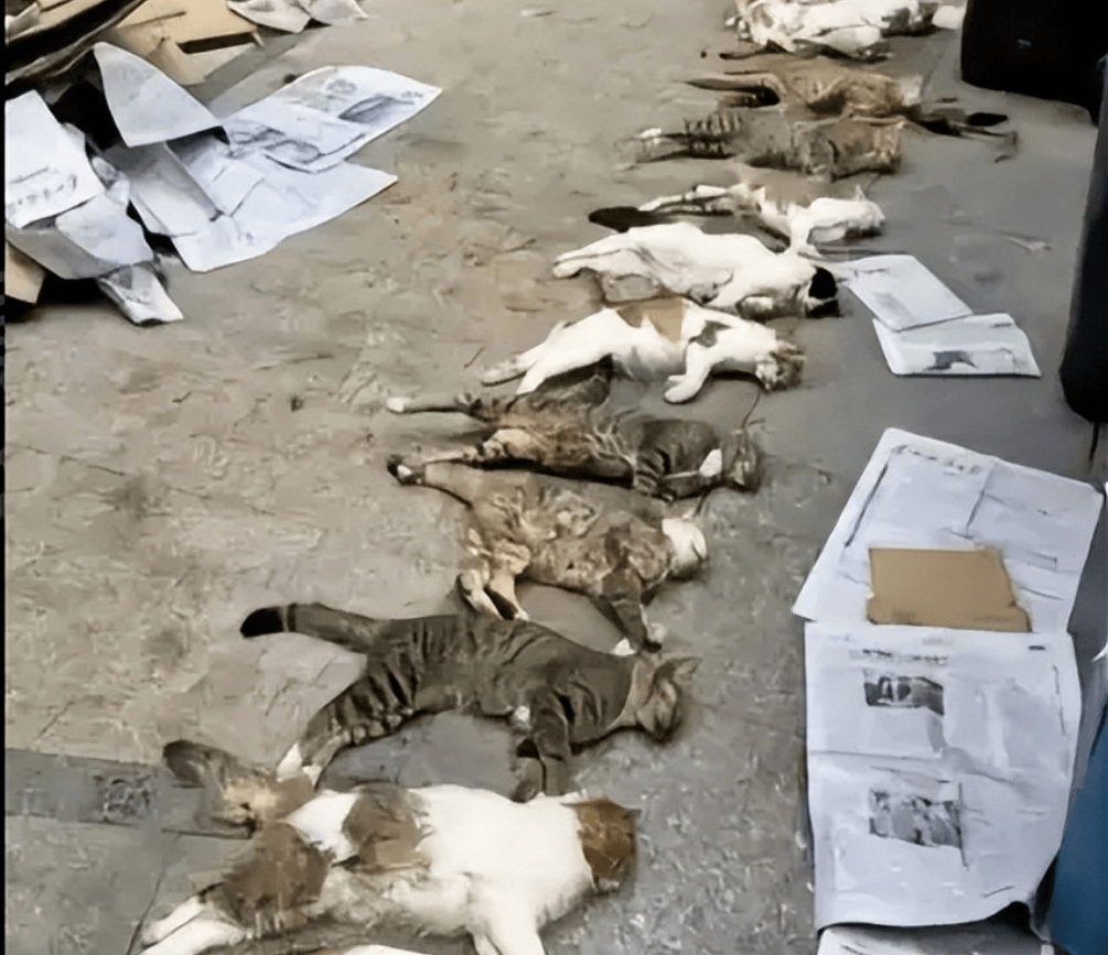 桂林编制考试刷掉第一名:别等社会淘汰你的孩子,才后悔没教他