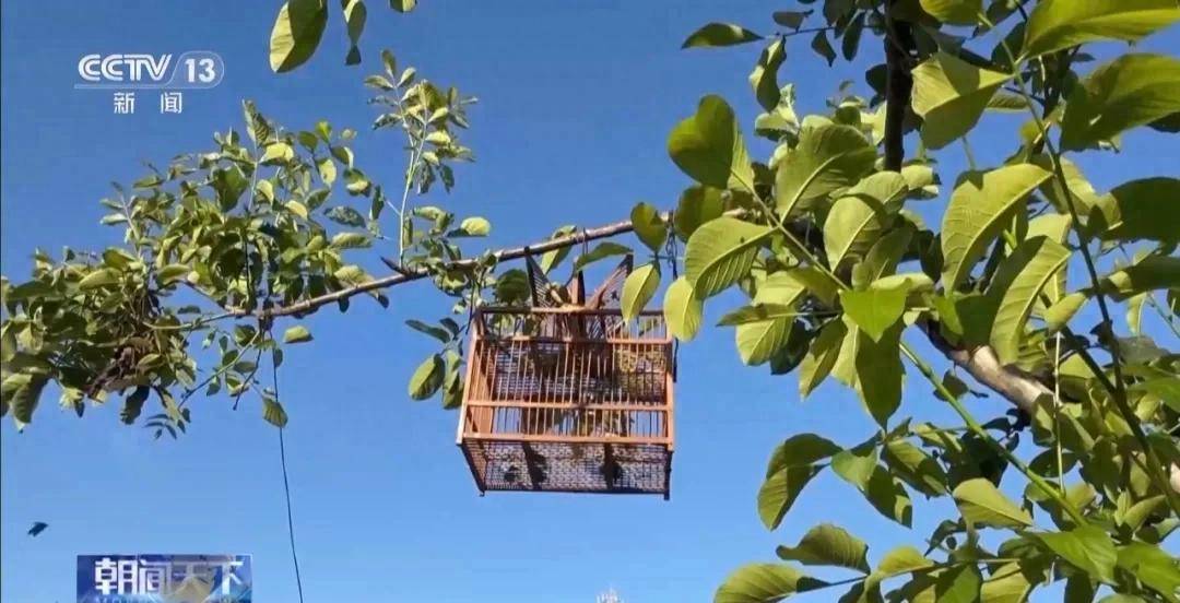 央视曝光当天，葫芦岛开展专项行动