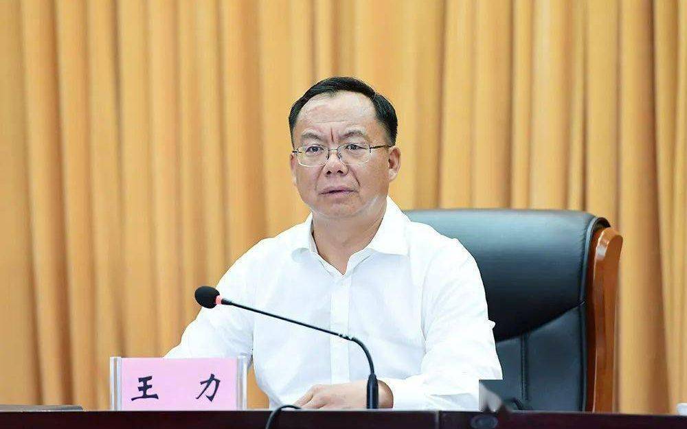 云南官宣：市委原书记王力被查