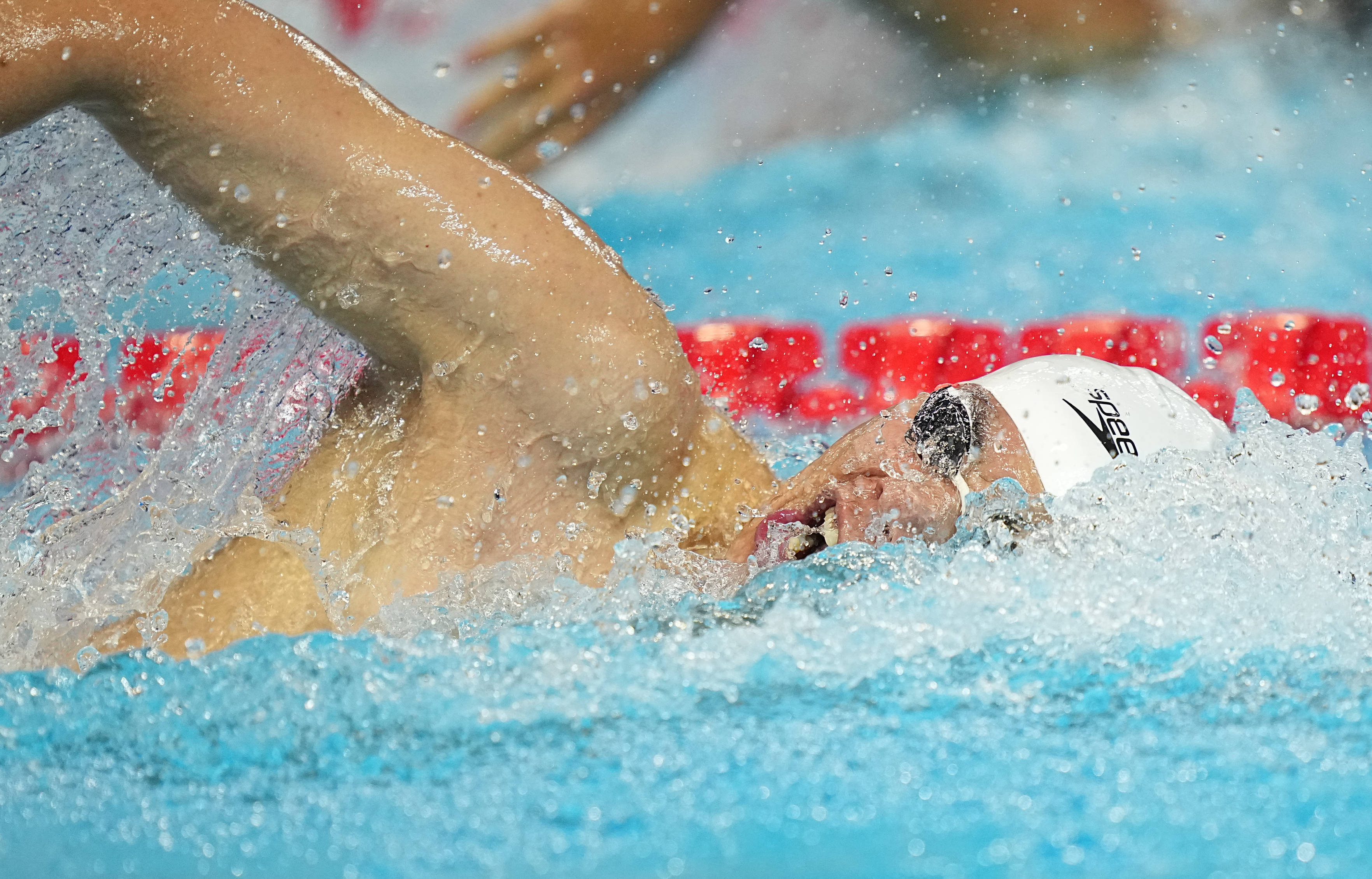 游泳世锦赛丨男子4X200米自由泳接力决赛赛况