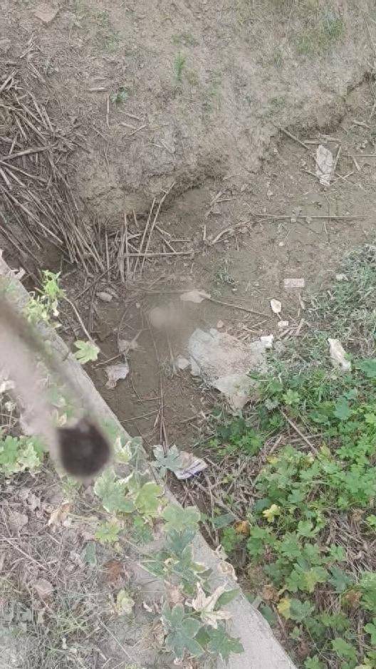 女子跑步时意外发现沟渠内有头骨,曹县警方:疑因下雨从上游坟墓冲下来,正进一步调查