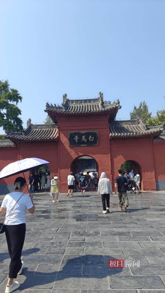 印乐方丈管理下的白马寺:僧人顶着高温种地,义工称寺里秉承农禅并重