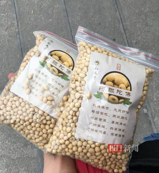 印乐方丈管理下的白马寺:僧人顶着高温种地,义工称寺里秉承农禅并重