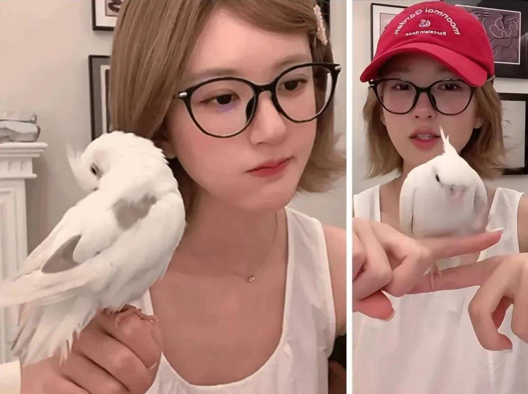 怒撕经纪公司后赵露思开启直播,同款花卷、包包都卖爆