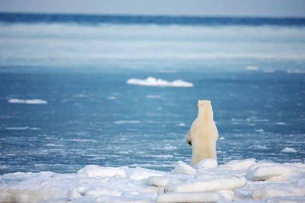 “几天下一年的雨”,防灾减灾关键在哪?