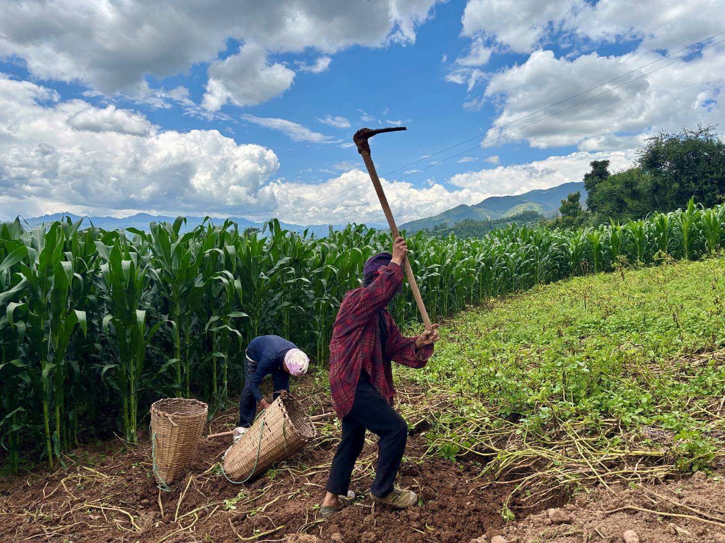 超龄学霸21岁初中毕业 放弃重点选县中