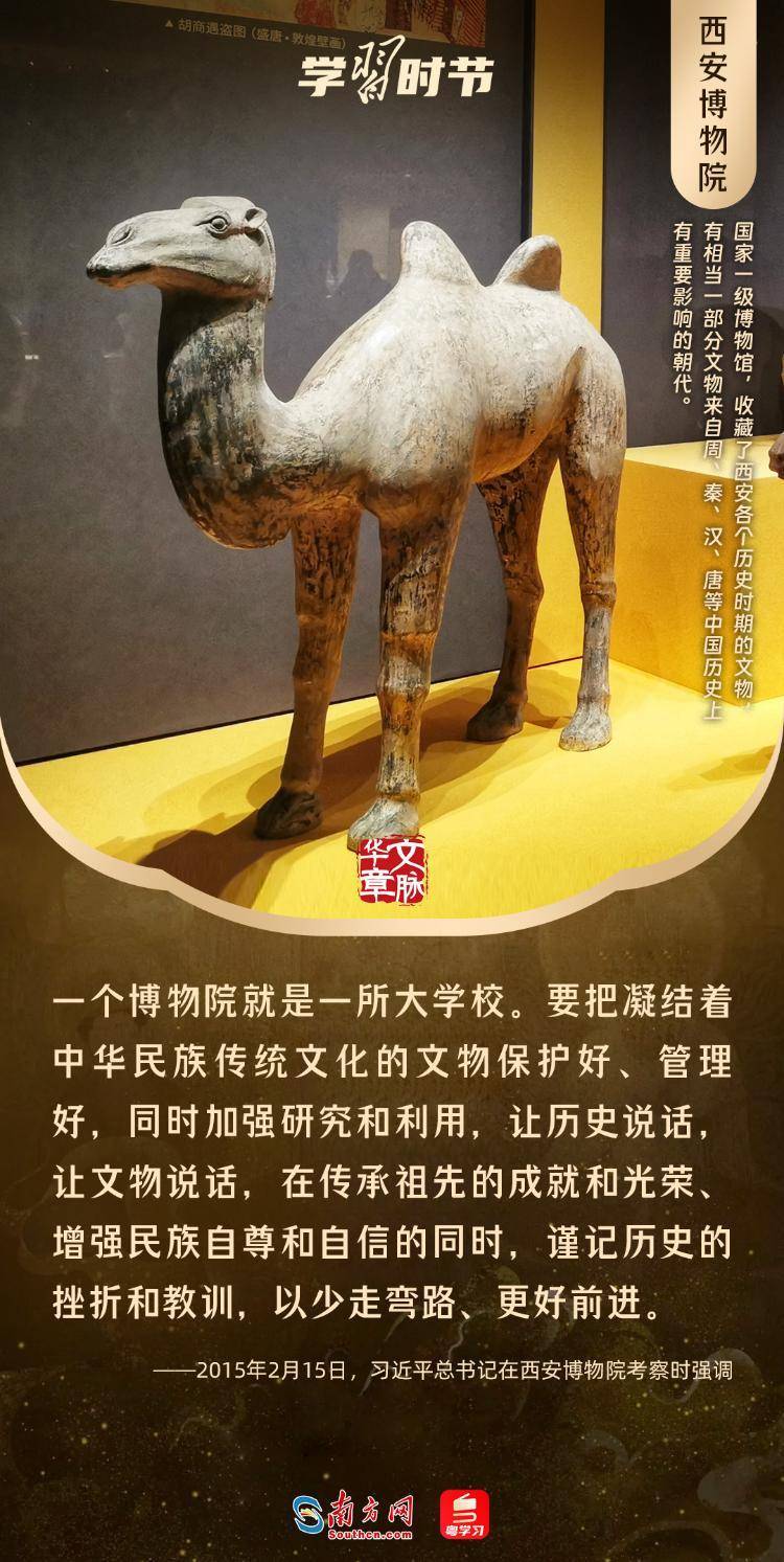 文脉华章丨暑期“博物馆热”,跟着总书记探寻中华文明