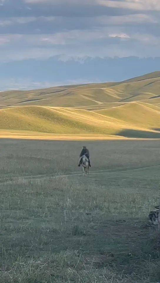 新疆男子在外工作偶然回家，父亲骑马飞奔迎接，感人一幕被拍下：爸爸快马加鞭从羊群赶回来