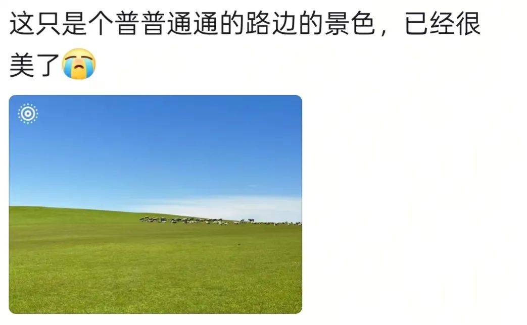 新疆男子在外工作偶然回家,父亲骑马飞奔迎接,感人一幕被拍下:爸爸快马加鞭从羊群赶回来