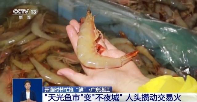 开渔时节首批海鱼虾蟹上岸 市民游客岸边等船抢“鲜”一步