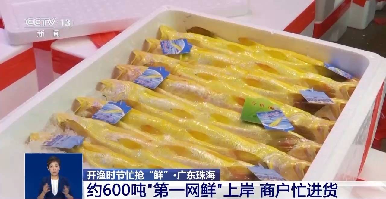 开渔时节首批海鱼虾蟹上岸 市民游客岸边等船抢“鲜”一步