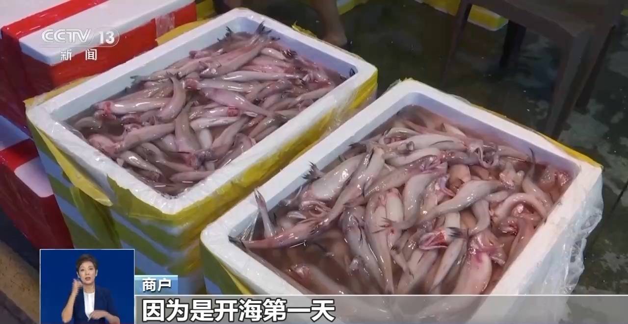 开渔时节首批海鱼虾蟹上岸 市民游客岸边等船抢“鲜”一步