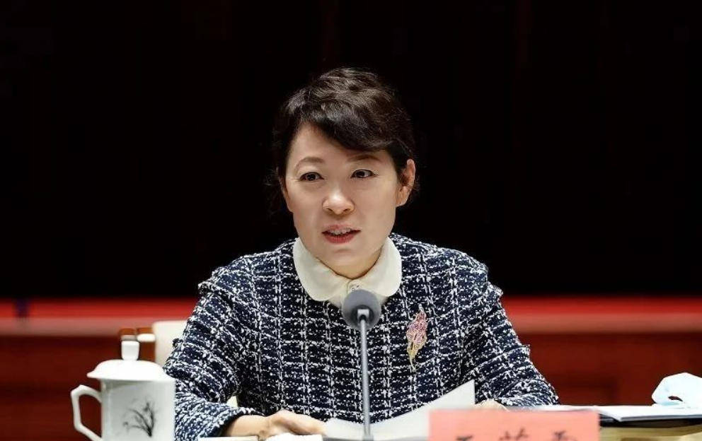 “换装主席”王莉霞的堕落:从光鲜人设到腐败深渊