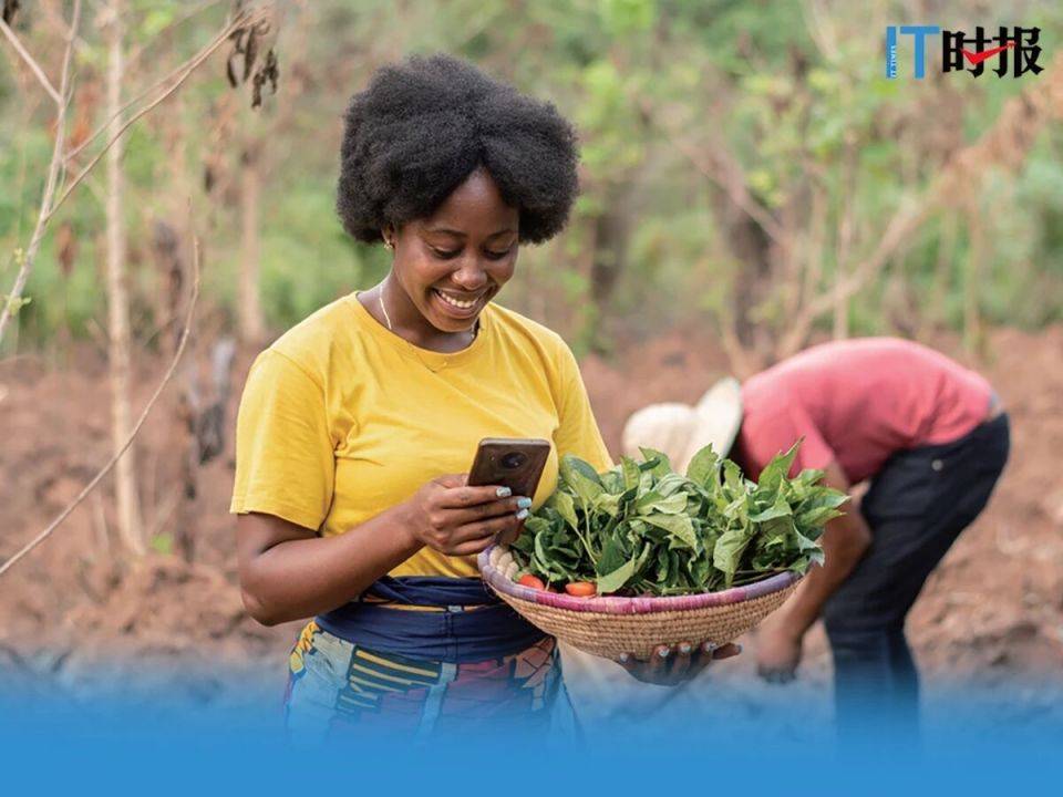 全球仍有31亿人用不起智能手机上网！