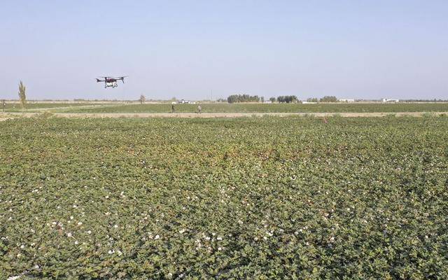学习进行时|习近平总书记关心新疆建设发展的故事