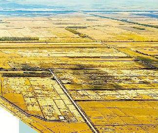 北大荒交出高质量秋收答卷