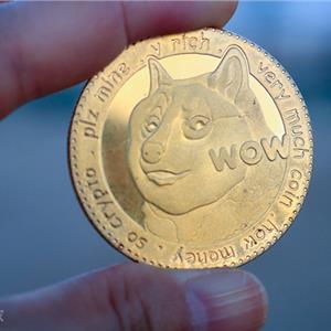 2017狗狗币最新消息(狗狗币2017年最高涨了多少倍)