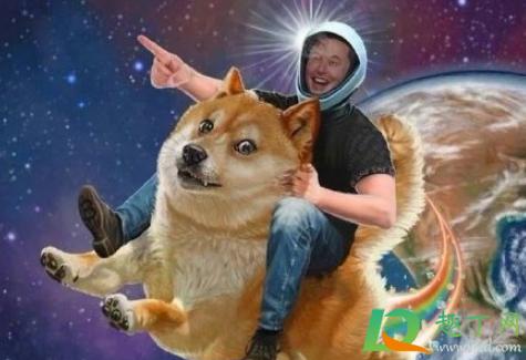 壶5狗狗币(58 狗狗币)