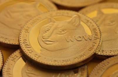 狗狗币使用(狗狗币如何使用)