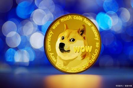 2017狗狗币最新消息(2017年狗狗币最新价格)