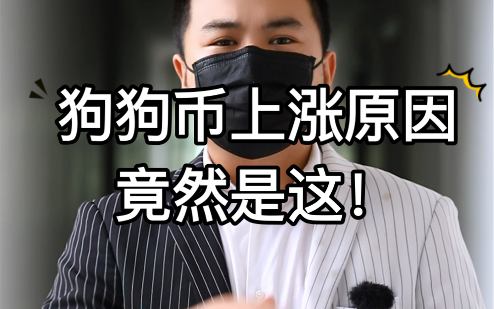 狗狗币新闻(狗狗币新闻最新消息)