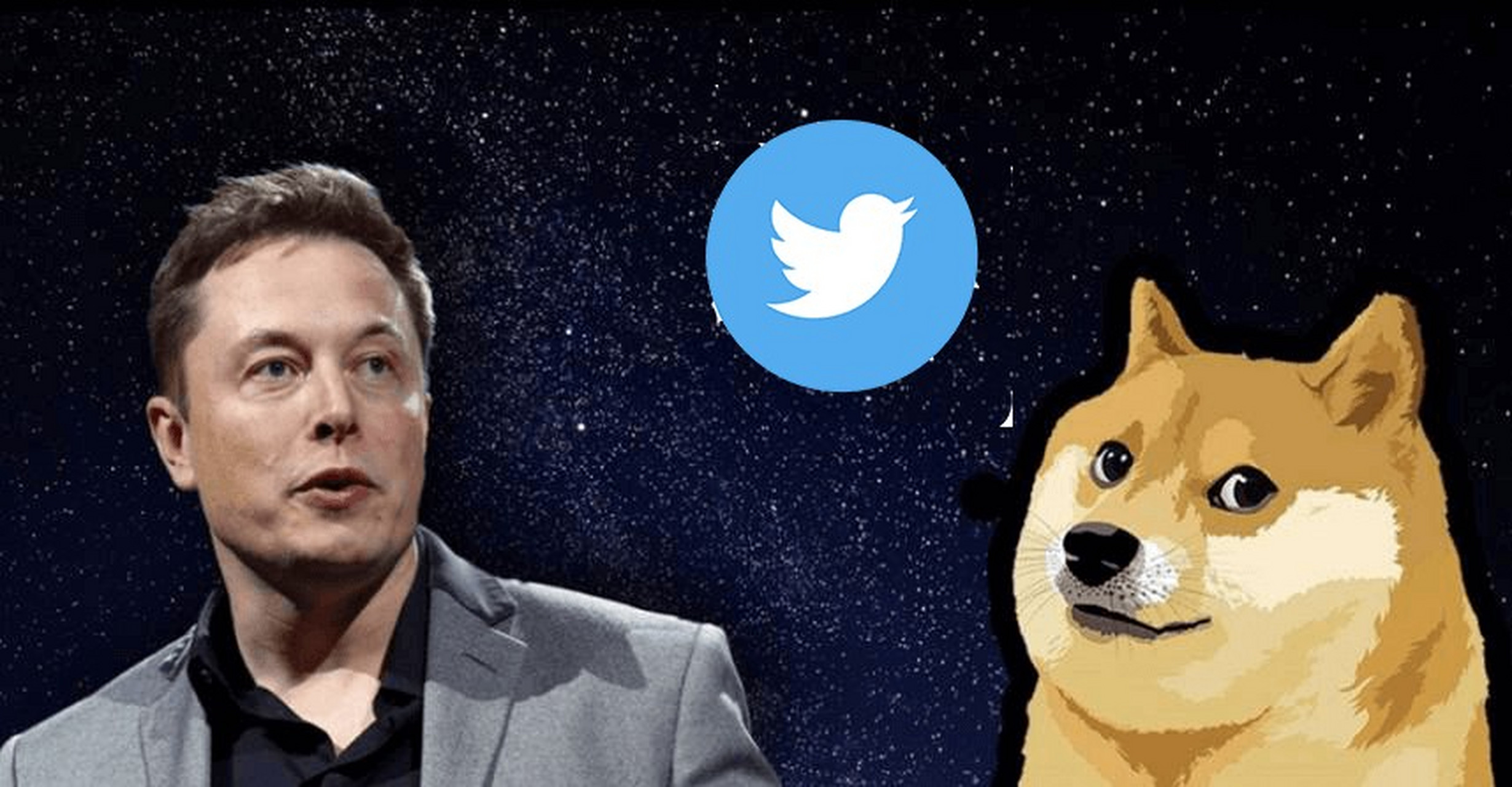 狗狗币30块(狗狗币能达到100元吗)