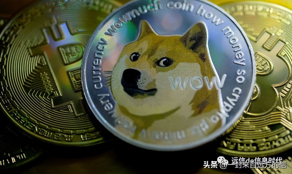 狗狗币网(狗狗币网址怎么找)
