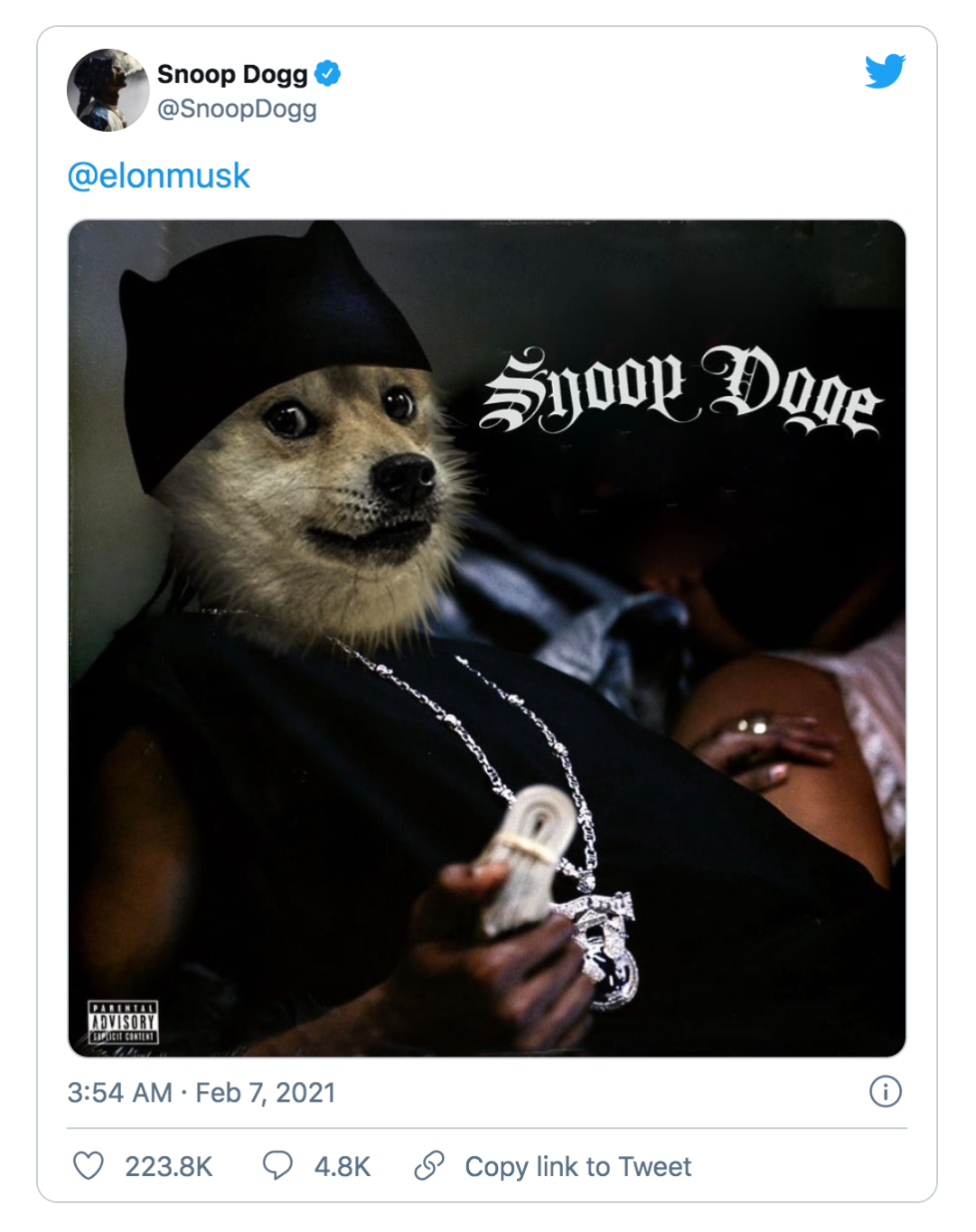 亚洲狗狗币(亚洲犬是什么)