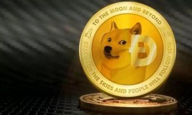 狗狗币后期(狗狗币还会升值吗)