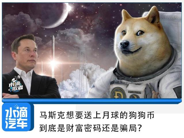 狗狗狗币(狗狗币百科)