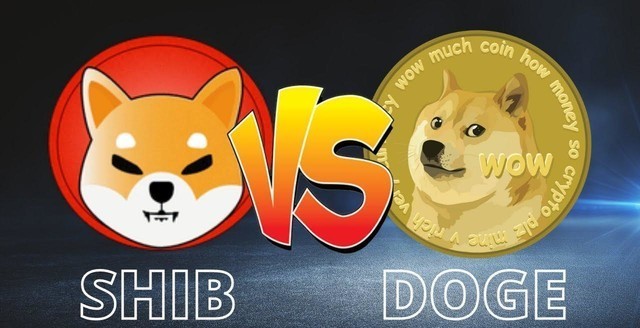 狗狗币收益(狗狗币能赚到钱吗) 狗狗币收益(狗狗币能赚到钱吗)