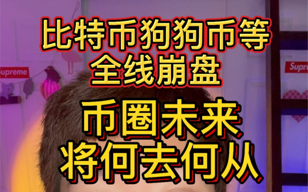 狗狗币崩盘了(狗狗币跑路了吗)