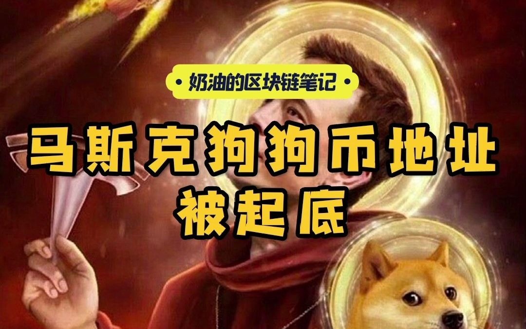 狗狗币区块链(区块链狗狗币app下载)