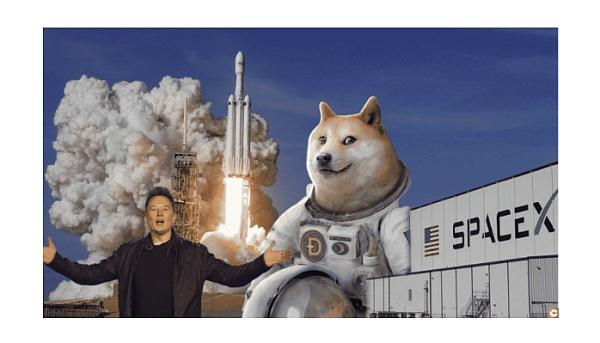 狗狗币的电子钱包(狗狗币电子钱包下载不了)