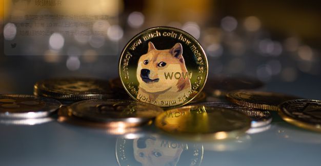 以太币狗狗币(狗狗币以太坊合约地址)