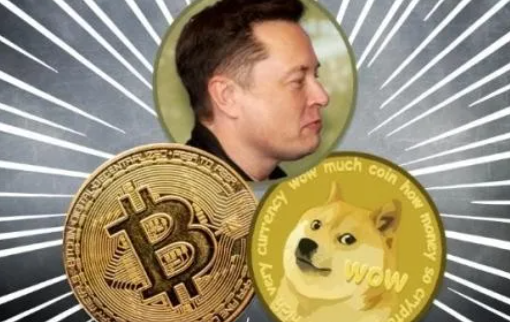 关于狗狗币(关于狗狗币最新消息)