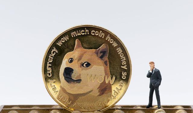 狗狗币价值(狗狗币 价值)