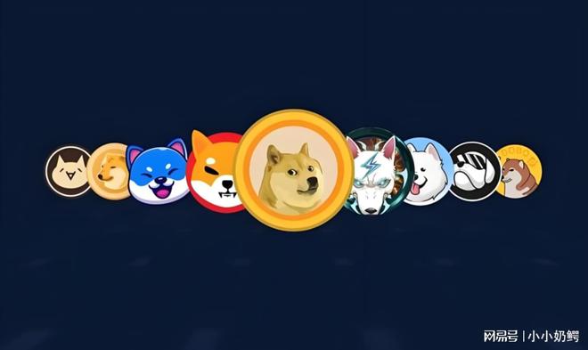 狗狗币的网关(狗狗币区块链地址查询)