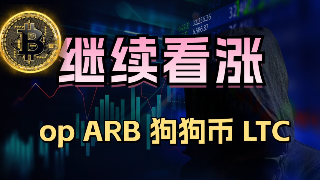 以太币狗狗币(以太坊与狗狗币)