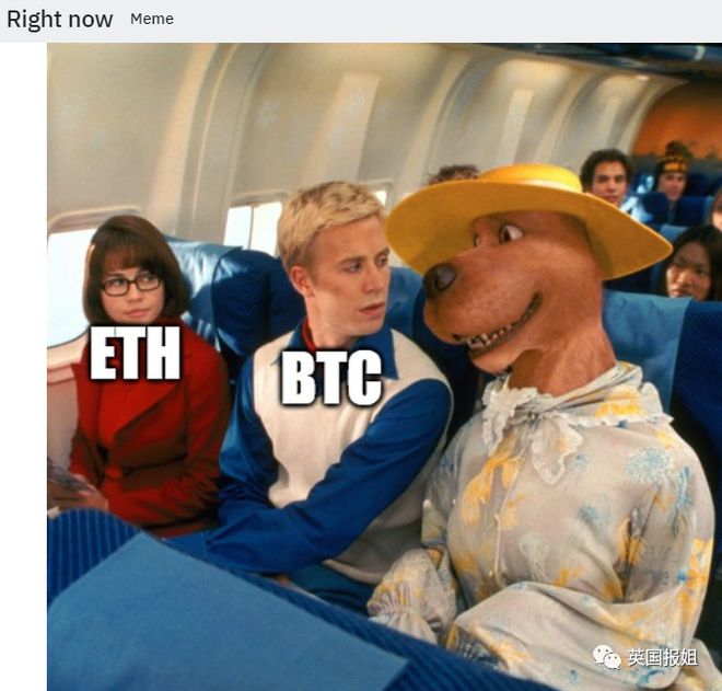 狗狗币外网(狗狗币登陆网址)