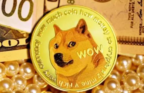 狗狗币靠谱吗(狗狗币是真是假)