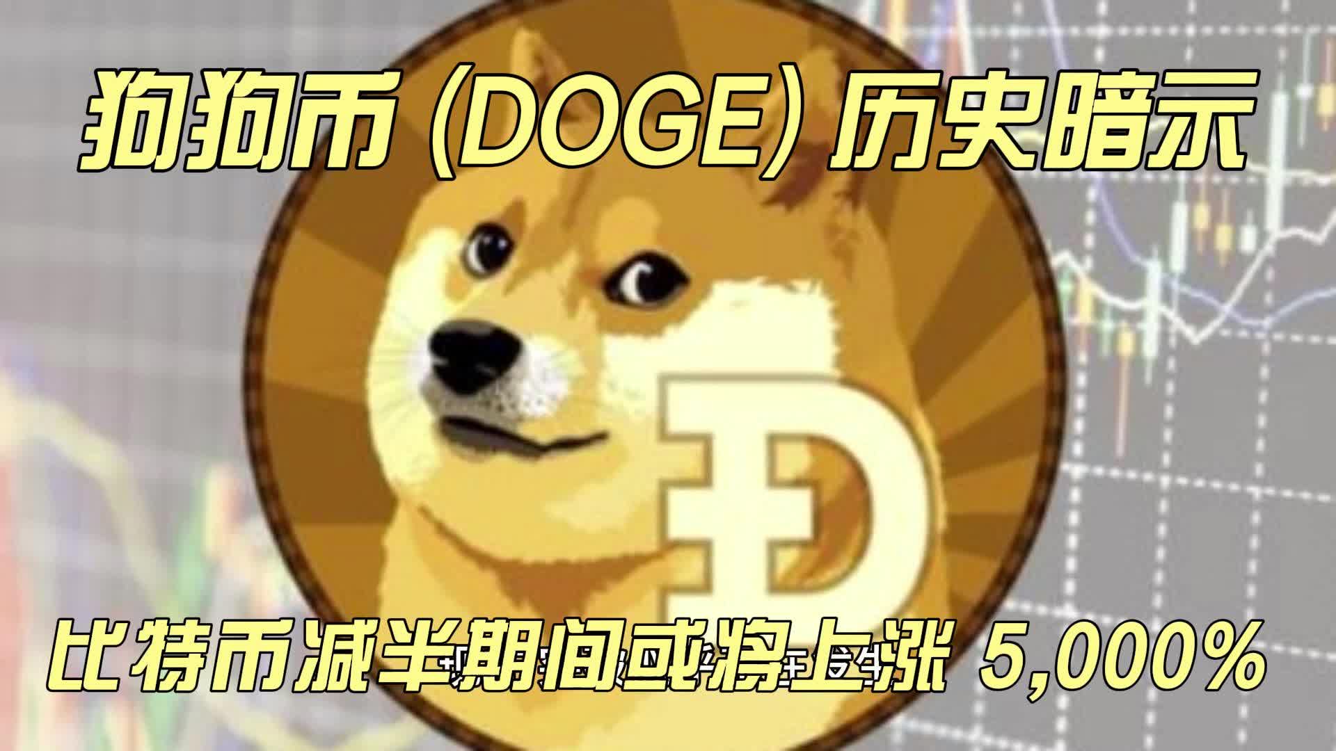 狗狗币与比特币(狗狗币比特币最新价格)